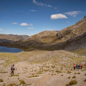 Birdwatching Tour Laguna Huacarpay & San Salvador Hummingbird Sanctuary | Cusco